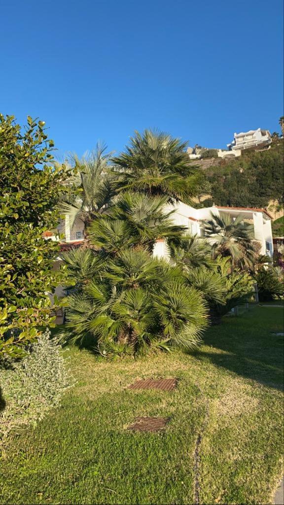 Casa Margherita Ischia Forio  Exterior photo
